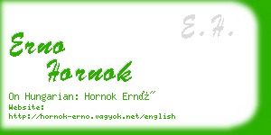 erno hornok business card